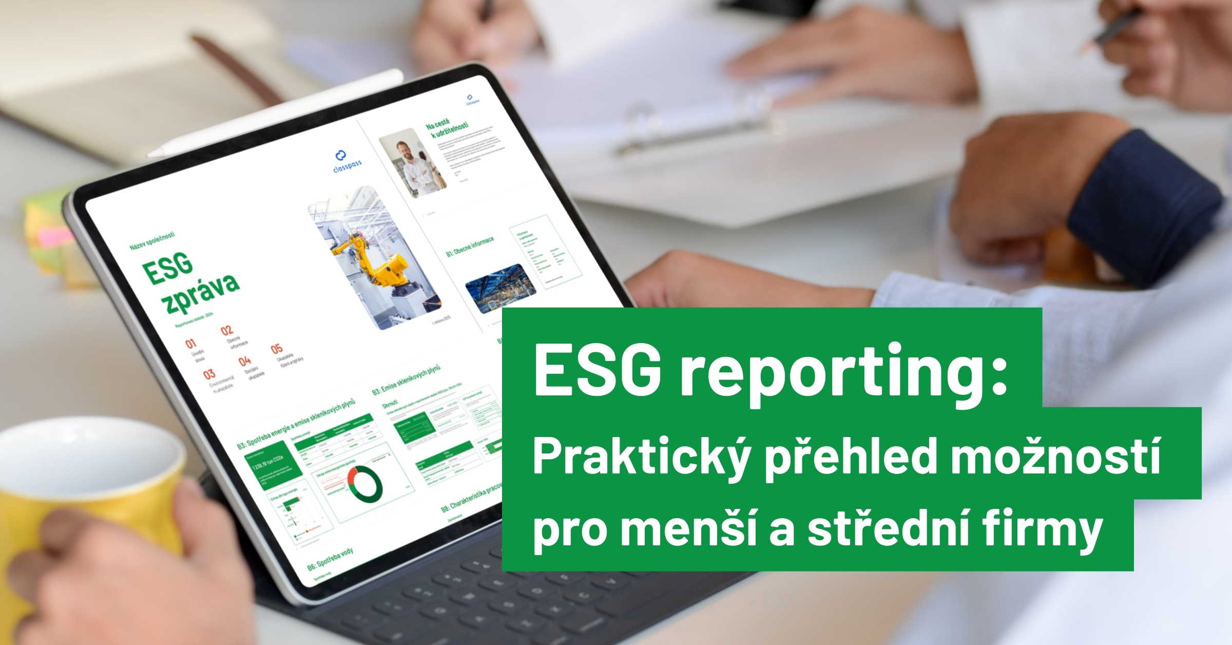Prehled_moznosti_pro_SME.jpg